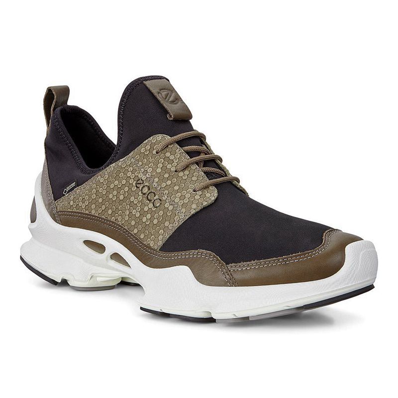 Men Ecco Biom C M - Gore-Tex Multicolour - India ZGLNME108